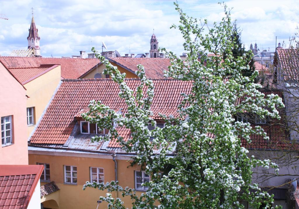 Old Town Apartment Antokolskio Wilno Zewnętrze zdjęcie