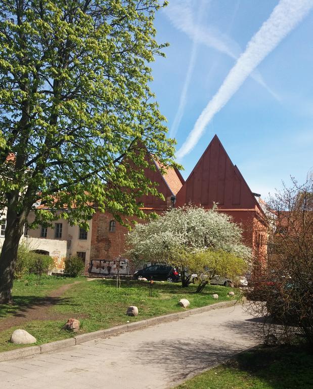 Old Town Apartment Antokolskio Wilno Zewnętrze zdjęcie