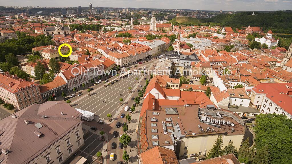 Old Town Apartment Antokolskio Wilno Zewnętrze zdjęcie