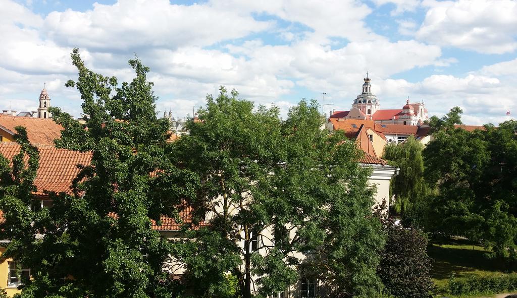 Old Town Apartment Antokolskio Wilno Zewnętrze zdjęcie