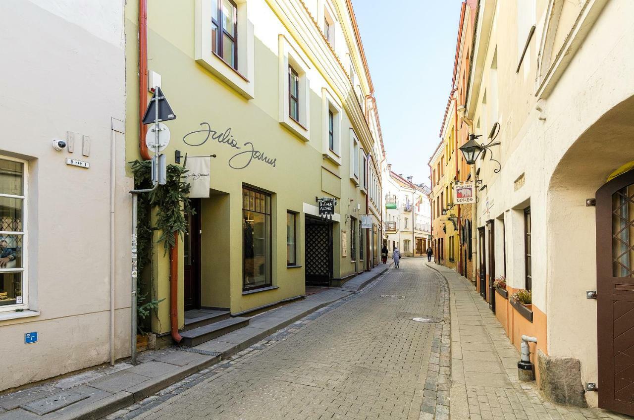 Old Town Apartment Antokolskio Wilno Zewnętrze zdjęcie